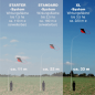 Preview: Drachen-Vogelscheuche XL System bis zu 3,5 ha