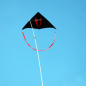 Preview: Drachen-Vogelscheuche Starter Paket 1,5 ha