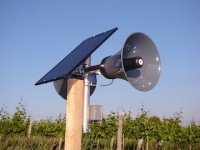 Raptor 56solar