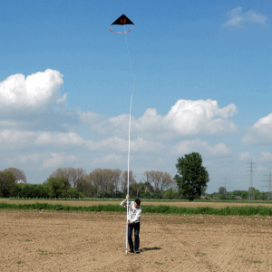 Drachen-Vogelscheuche System Standard ECO für 2,5 ha