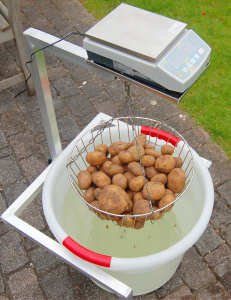 Elektronische Kartoffelstärkewaage T.E.L.L. 5000