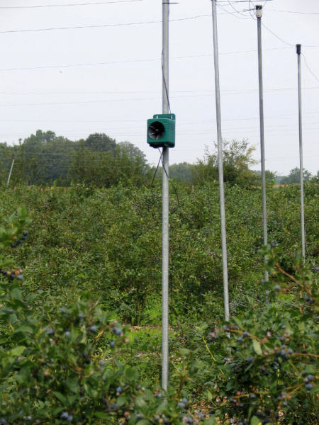 BirdGard Erweiterungslautsprecher